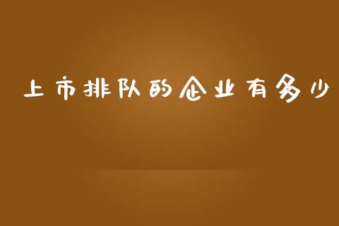 上市排队的企业有多少_https://wap.lcpcjs.com_美股行情_第1张