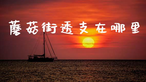 蘑菇街透支在哪里_https://wap.lcpcjs.com_美股行情_第1张