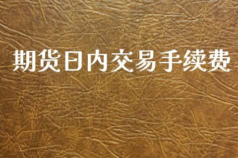 期货日内交易手续费_https://wap.lcpcjs.com_全球经济_第1张