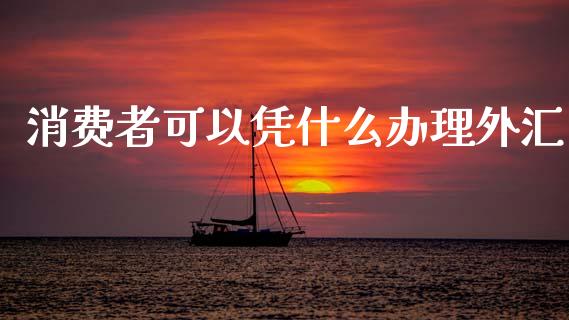 消费者可以凭什么办理外汇_https://wap.lcpcjs.com_美股行情_第1张