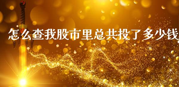 怎么查我股市里总共投了多少钱_https://wap.lcpcjs.com_全球经济_第1张