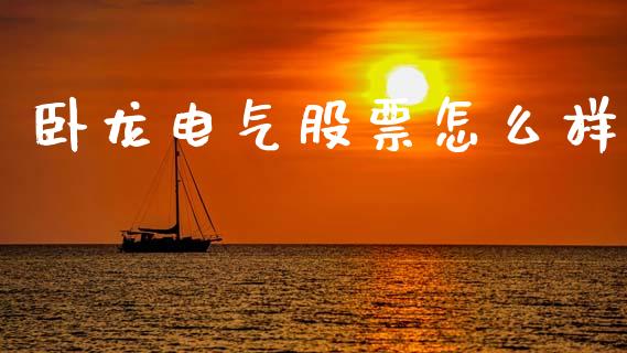 卧龙电气股票怎么样_https://wap.lcpcjs.com_外汇市场_第1张