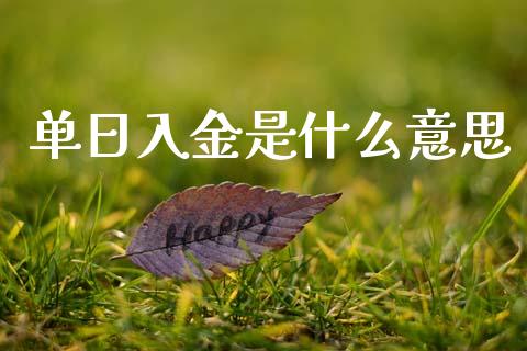 单日入金是什么意思_https://wap.lcpcjs.com_股港行情_第1张