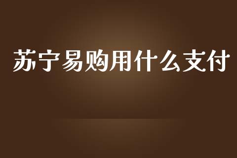 苏宁易购用什么支付_https://wap.lcpcjs.com_外汇市场_第1张