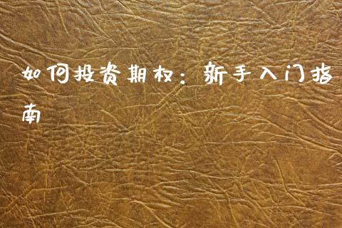 如何投资期权：新手入门指南_https://wap.lcpcjs.com_全球经济_第1张