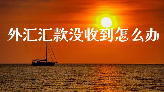 外汇汇款没收到怎么办_https://wap.lcpcjs.com_外汇市场_第1张