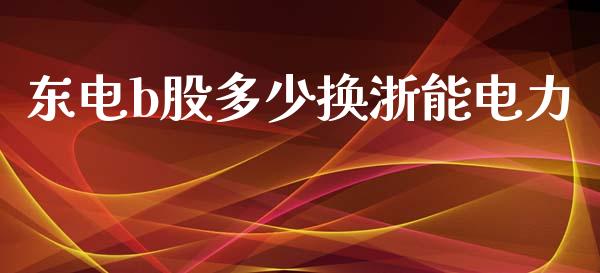 东电b股多少换浙能电力_https://wap.lcpcjs.com_股港行情_第1张