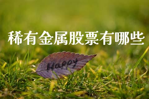 稀有金属股票有哪些_https://wap.lcpcjs.com_股港行情_第1张