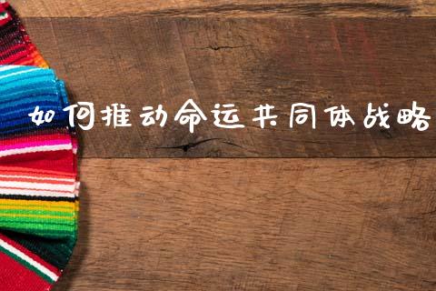 如何推动命运共同体战略_https://wap.lcpcjs.com_外汇市场_第1张