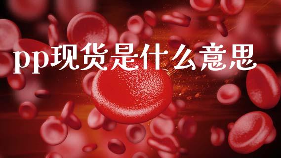 pp现货是什么意思_https://wap.lcpcjs.com_美股行情_第1张