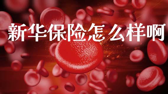 新华保险怎么样啊_https://wap.lcpcjs.com_美股行情_第1张