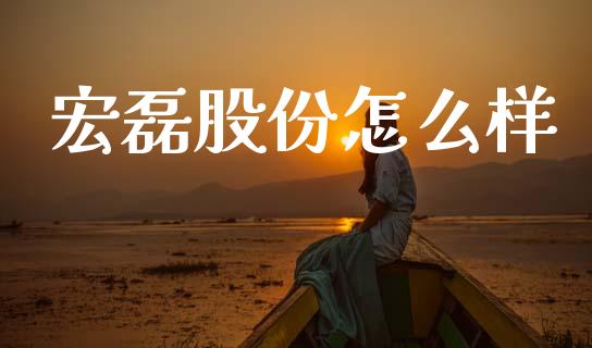 宏磊股份怎么样_https://wap.lcpcjs.com_外汇市场_第1张