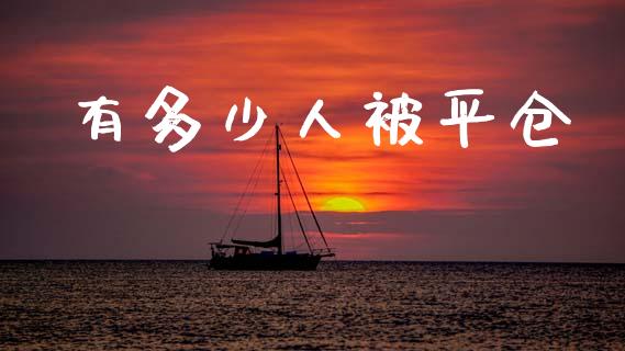 有多少人被平仓_https://wap.lcpcjs.com_股港行情_第1张