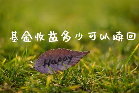 基金收益多少可以赎回_https://wap.lcpcjs.com_股港行情_第1张