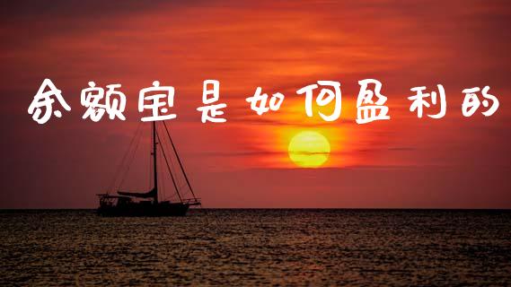 余额宝是如何盈利的_https://wap.lcpcjs.com_外汇市场_第1张