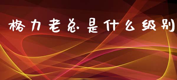 格力老总是什么级别_https://wap.lcpcjs.com_股港行情_第1张