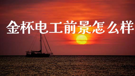 金杯电工前景怎么样_https://wap.lcpcjs.com_全球经济_第1张