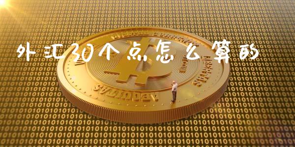 外汇30个点怎么算的_https://wap.lcpcjs.com_全球经济_第1张