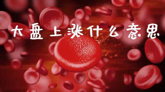 大盘上涨什么意思_https://wap.lcpcjs.com_外汇市场_第1张