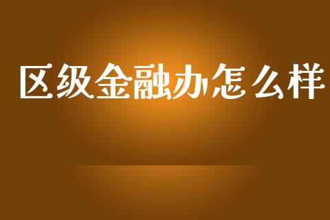 区级金融办怎么样_https://wap.lcpcjs.com_股港行情_第1张