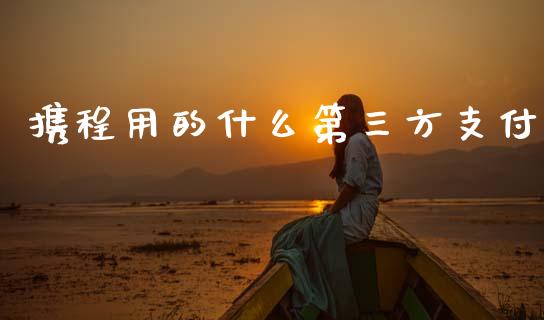 携程用的什么第三方支付_https://wap.lcpcjs.com_全球经济_第1张