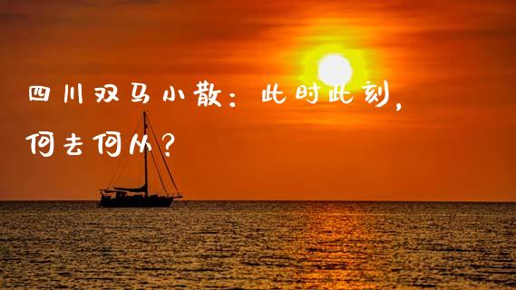 四川双马小散：此时此刻，何去何从？_https://wap.lcpcjs.com_美股行情_第1张