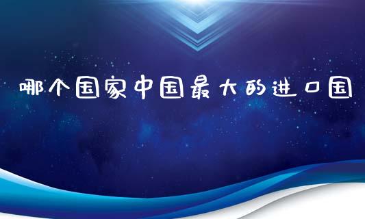 哪个国家中国最大的进口国_https://wap.lcpcjs.com_美股行情_第1张