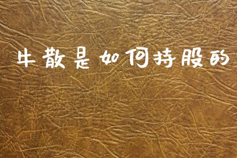 牛散是如何持股的_https://wap.lcpcjs.com_外汇市场_第1张