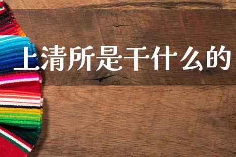上清所是干什么的_https://wap.lcpcjs.com_股港行情_第1张