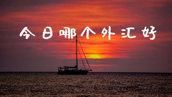 今日哪个外汇好_https://wap.lcpcjs.com_股港行情_第1张