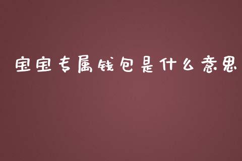 宝宝专属钱包是什么意思_https://wap.lcpcjs.com_美股行情_第1张