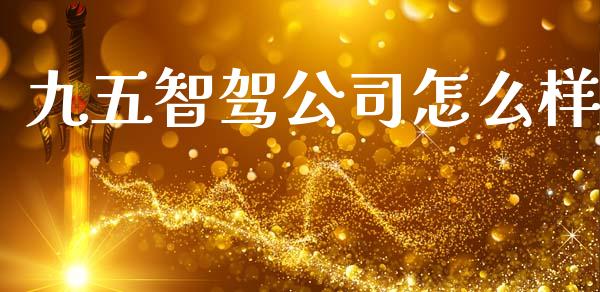 九五智驾公司怎么样_https://wap.lcpcjs.com_外汇市场_第1张