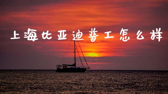 上海比亚迪普工怎么样_https://wap.lcpcjs.com_外汇市场_第1张
