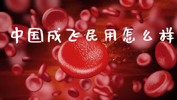 中国成飞民用怎么样_https://wap.lcpcjs.com_全球经济_第1张