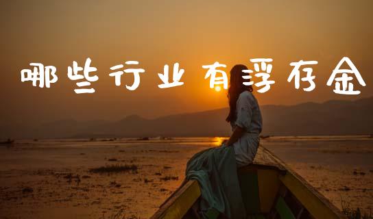 哪些行业有浮存金_https://wap.lcpcjs.com_全球经济_第1张