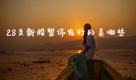 28支新股暂停发行的是哪些_https://wap.lcpcjs.com_全球经济_第1张