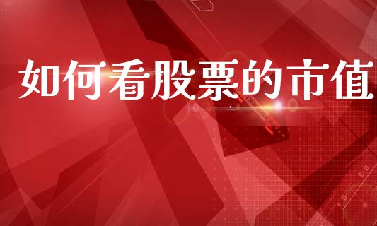 如何看股票的市值_https://wap.lcpcjs.com_美股行情_第1张