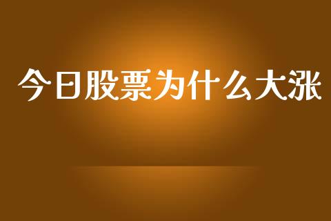 今日股票为什么大涨_https://wap.lcpcjs.com_全球经济_第1张