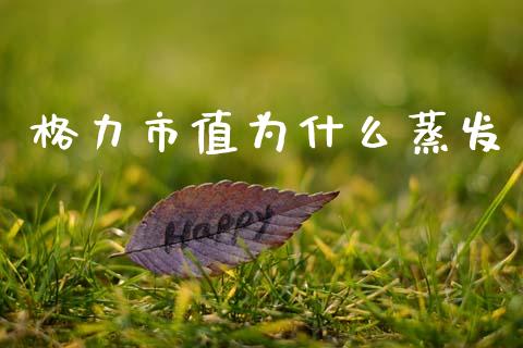 格力市值为什么蒸发_https://wap.lcpcjs.com_全球经济_第1张
