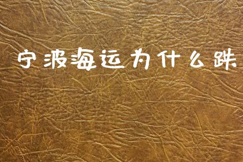 宁波海运为什么跌_https://wap.lcpcjs.com_美股行情_第1张