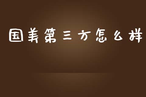 国美第三方怎么样_https://wap.lcpcjs.com_外汇市场_第1张