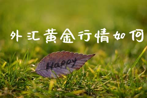 外汇黄金行情如何_https://wap.lcpcjs.com_外汇市场_第1张