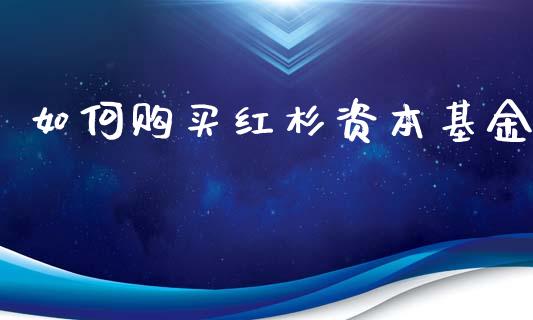 如何购买红杉资本基金_https://wap.lcpcjs.com_美股行情_第1张