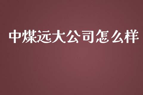 中煤远大公司怎么样_https://wap.lcpcjs.com_外汇市场_第1张