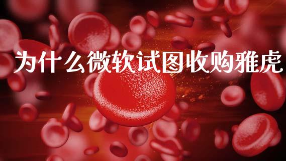 为什么微软试图收购雅虎_https://wap.lcpcjs.com_全球经济_第1张