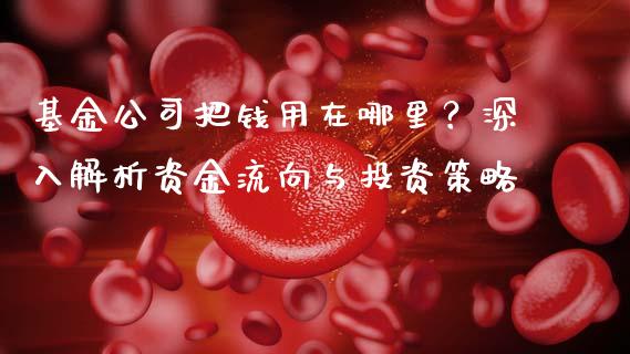 基金公司把钱用在哪里？深入解析资金流向与投资策略_https://wap.lcpcjs.com_美股行情_第1张