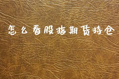 怎么看股指期货持仓_https://wap.lcpcjs.com_股港行情_第1张