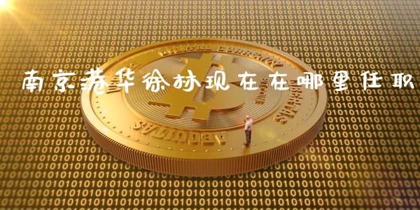 南京港华徐林现在在哪里任职_https://wap.lcpcjs.com_全球经济_第1张