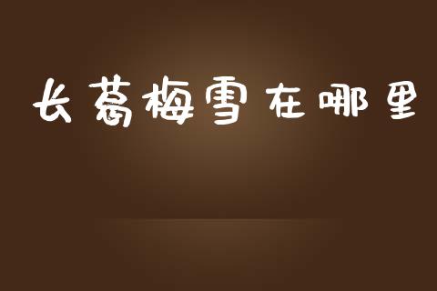 长葛梅雪在哪里_https://wap.lcpcjs.com_外汇市场_第1张