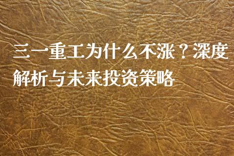 三一重工为什么不涨？深度解析与未来投资策略_https://wap.lcpcjs.com_全球经济_第1张